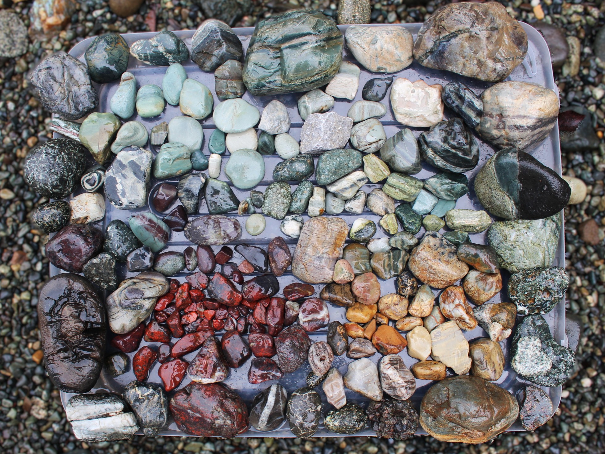 Rain Washed River Rocks in Crofton
